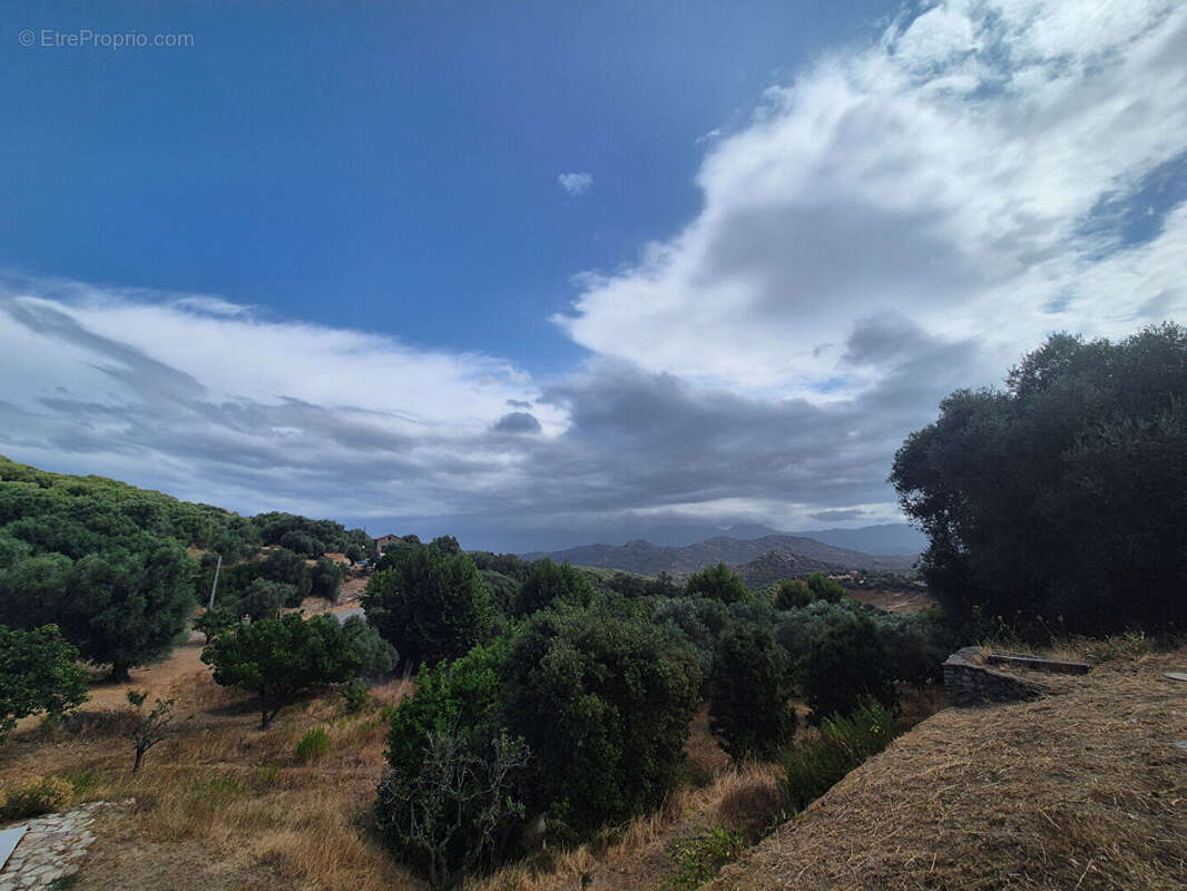 Maison à SANTO-PIETRO-DI-TENDA