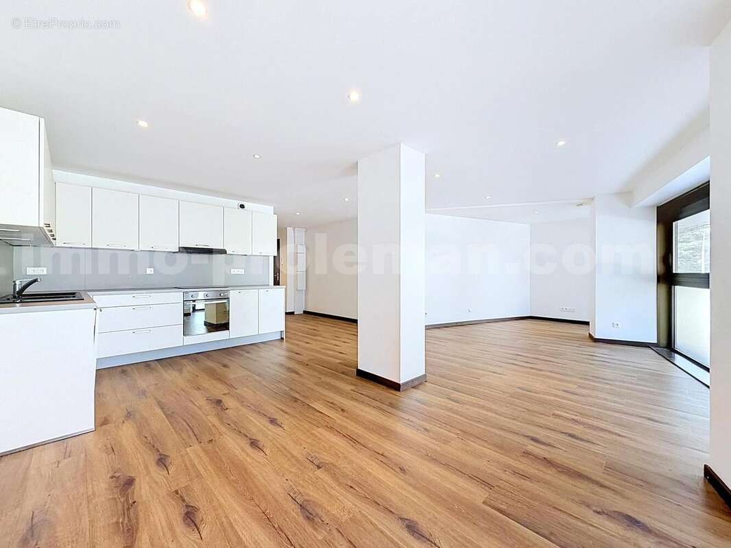 Appartement_T3_Annemasse_belle_superficie_prox_frontière_Suisse_tram_Ceva_direction_GENEVE_Frontaliers_Salon_Séjour_Cuisine_