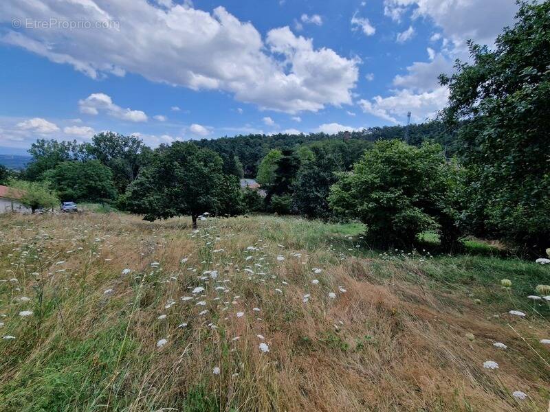 Terrain à MARCOUX