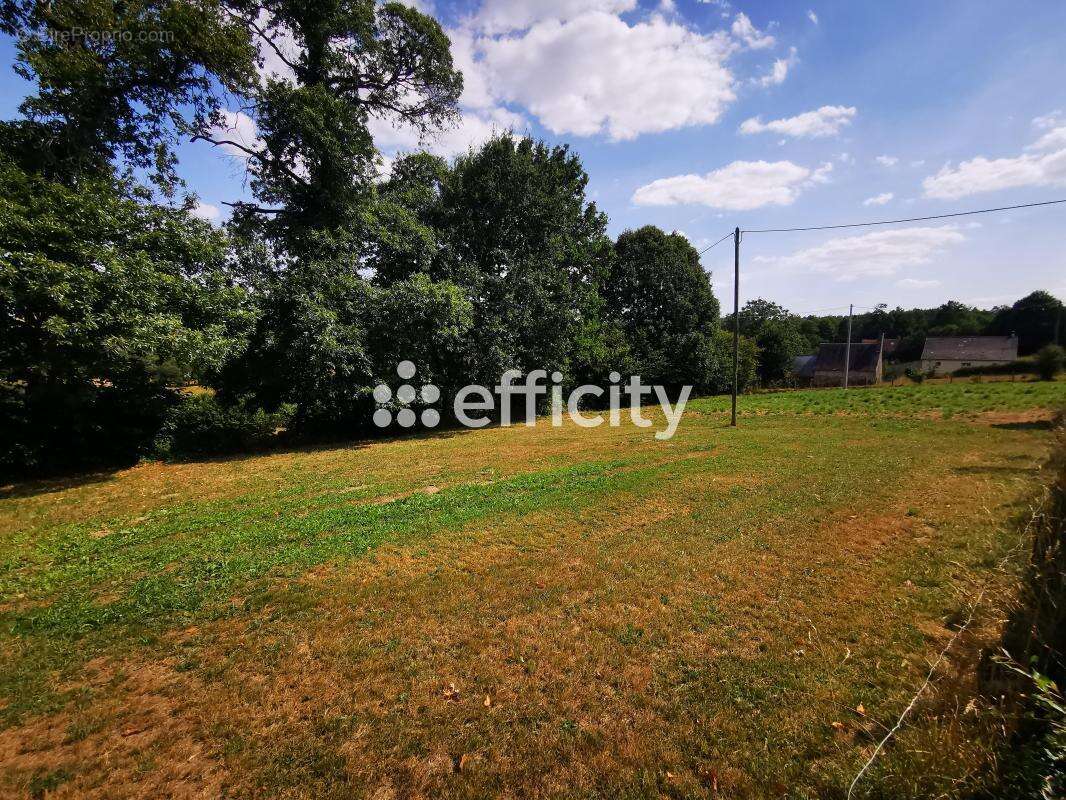 Maison 126 m² à Brecey  - photo 39