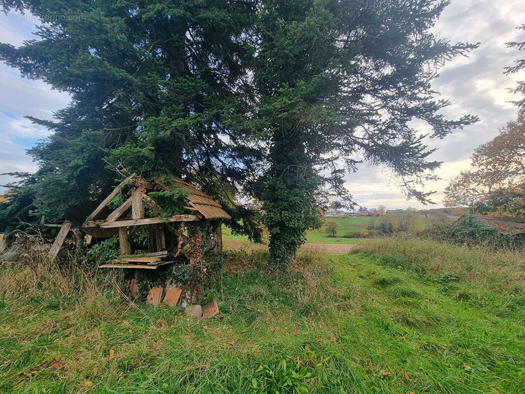 Maison à ISIGNY-LE-BUAT