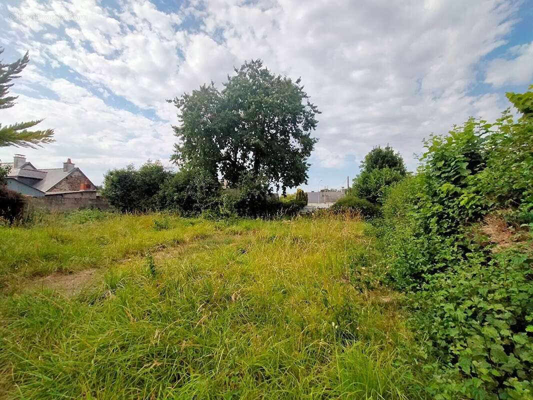 Maison à VILLAINES-LA-JUHEL