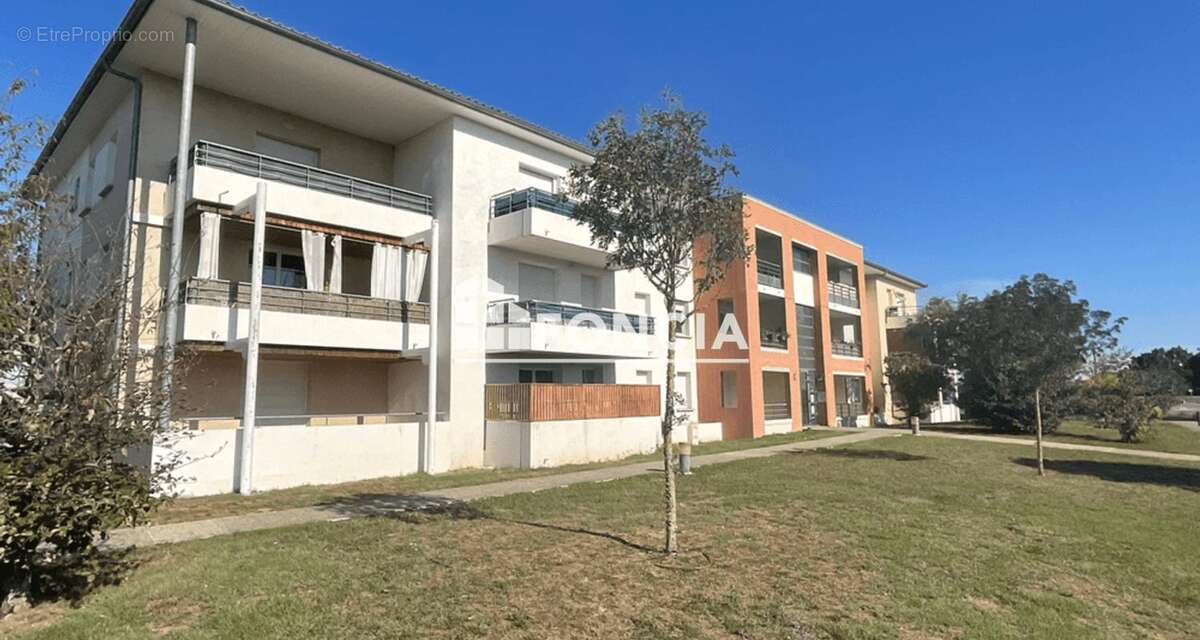 Commerce à LA SALVETAT-SAINT-GILLES