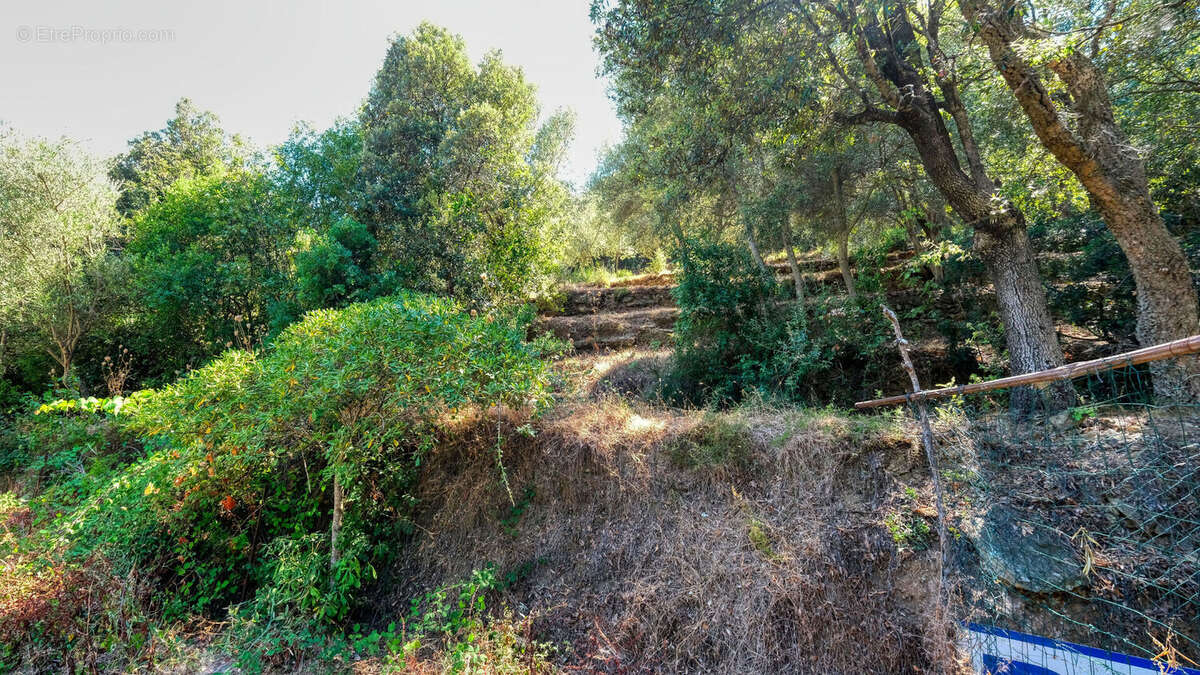 Maison à SAN-MARTINO-DI-LOTA