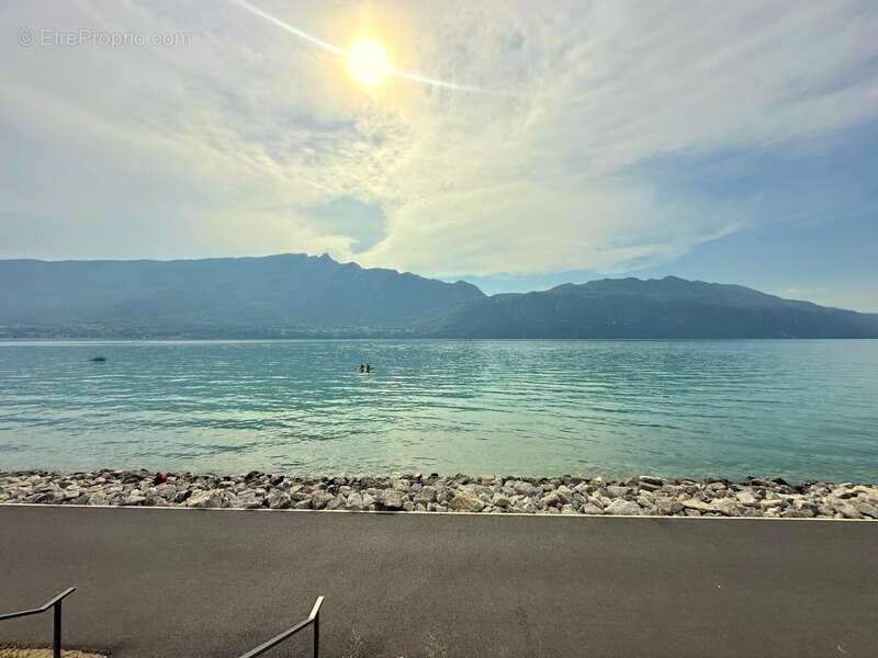 A vendre AIX LES BAINS / TRESSERVE (73), MURS restaurant 250 m2, vue panoramique Lac du Bourget - photo 6
