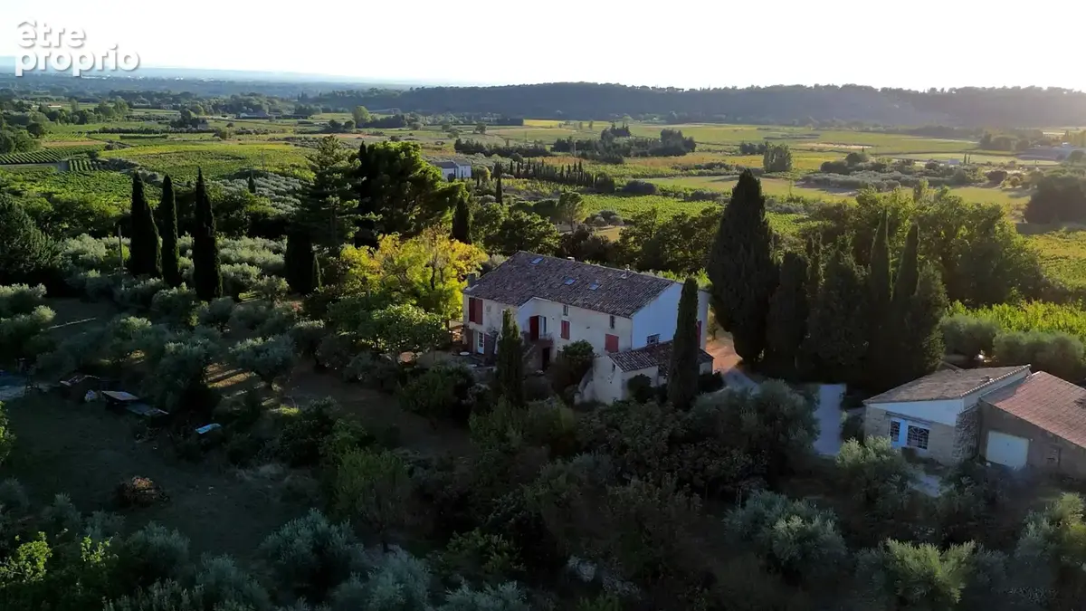 Demeure oliviers verger et vignes - photo 16