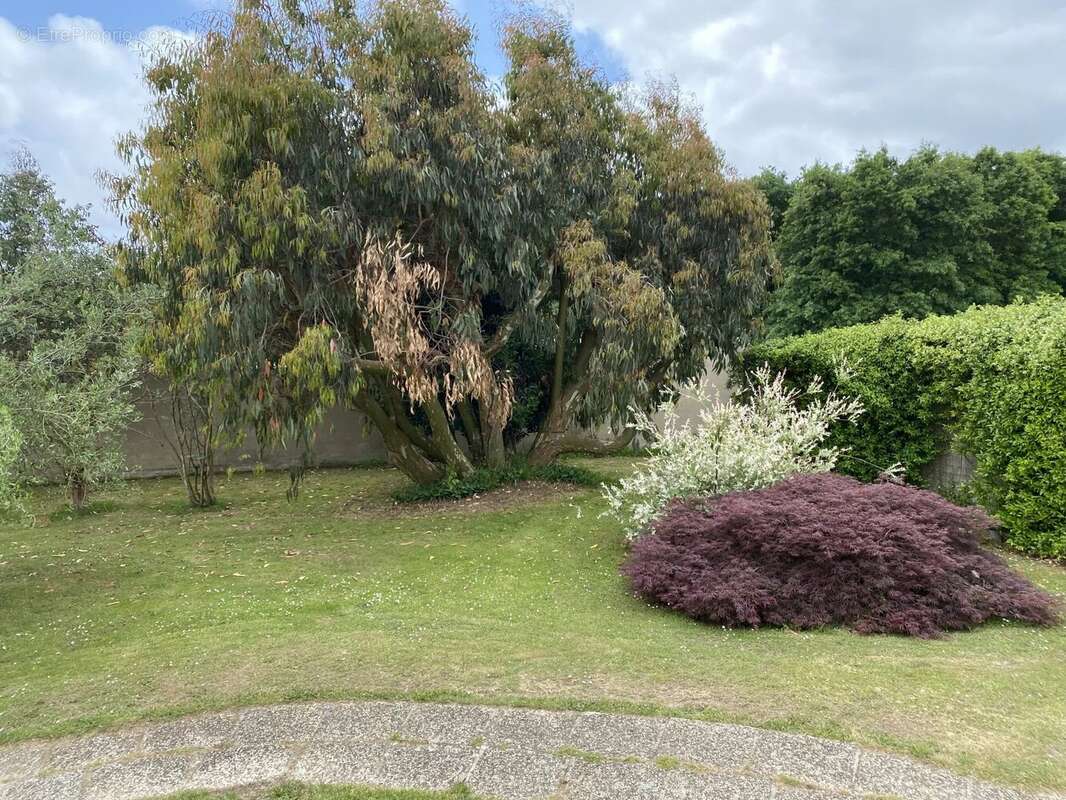 Maison à SAINT-NAZAIRE