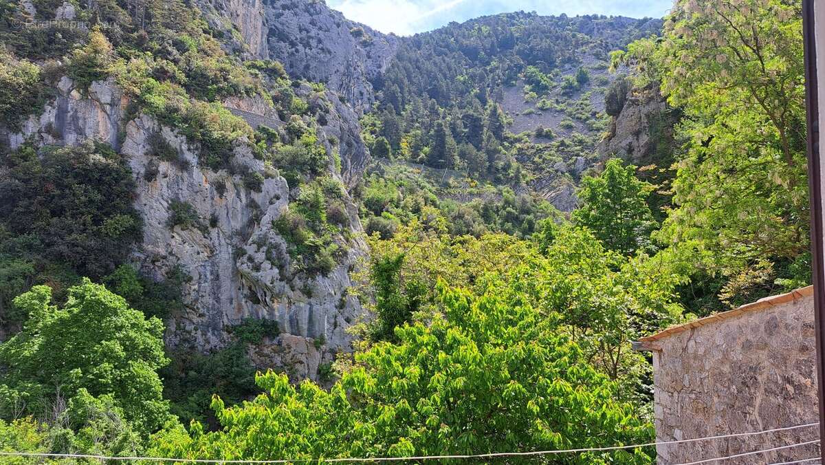 Vue dégagée verdure