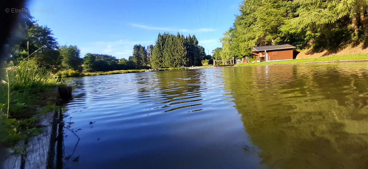 Etang vidangeable 0.51 ha - photo 2