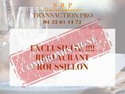 Commerce à ROUSSILLON