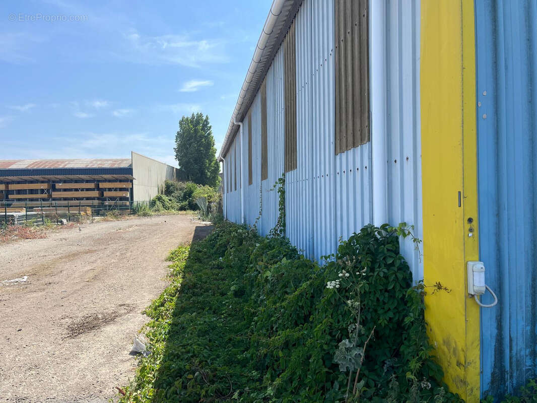 Entrepôt - 469 m2 - Petite-Synthe - photo 6