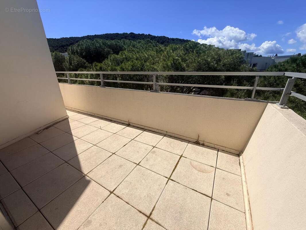 Photo 3 - Appartement à SETE
