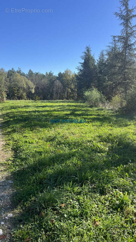 Terrain à VILLEMATIER