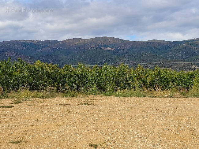 Terrain à LOS MASOS