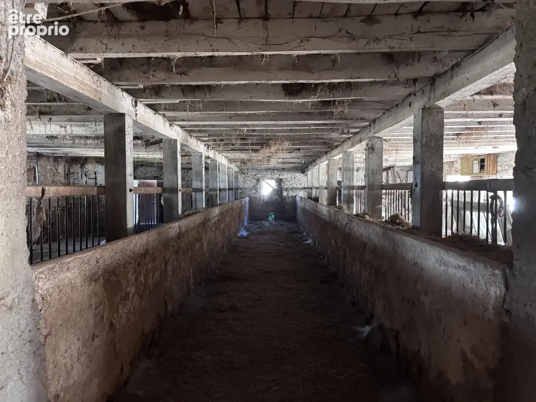 Le Donjon - Ferme à rénover avec une grande grange et des dépendances, sur un terrain de plus de 3 hectares co - photo 28
