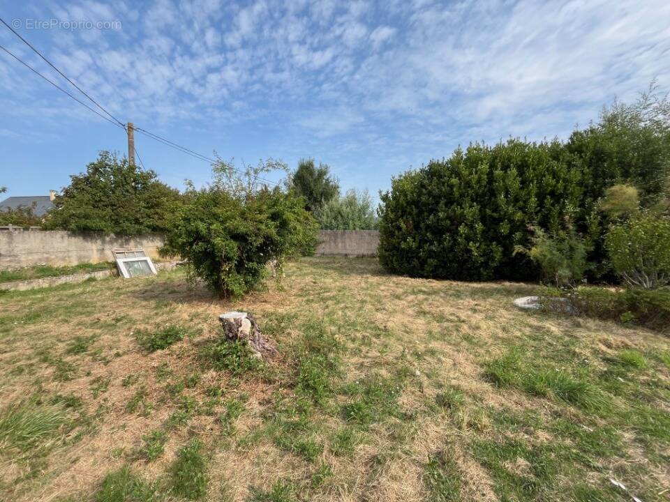 Terrain à MONTJEAN-SUR-LOIRE