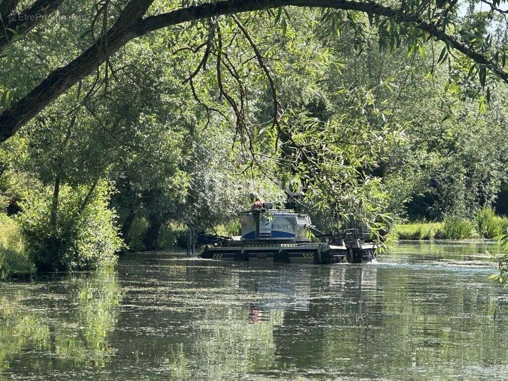 Terrain de loisir avec étang de pêche et roulotte - photo 11
