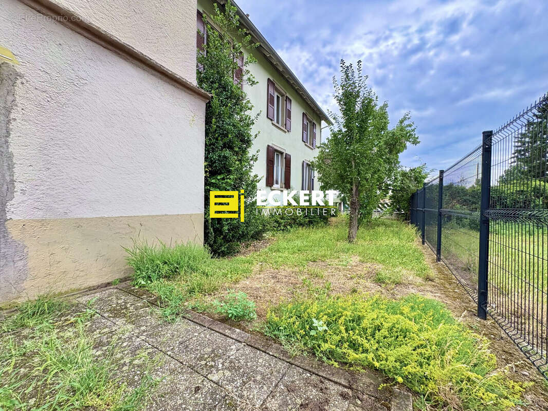 Maison 300 m² à Dorlisheim  - photo 4