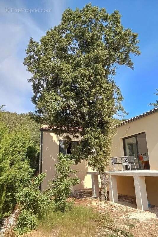 Maison à SAINT-HIPPOLYTE-DU-FORT