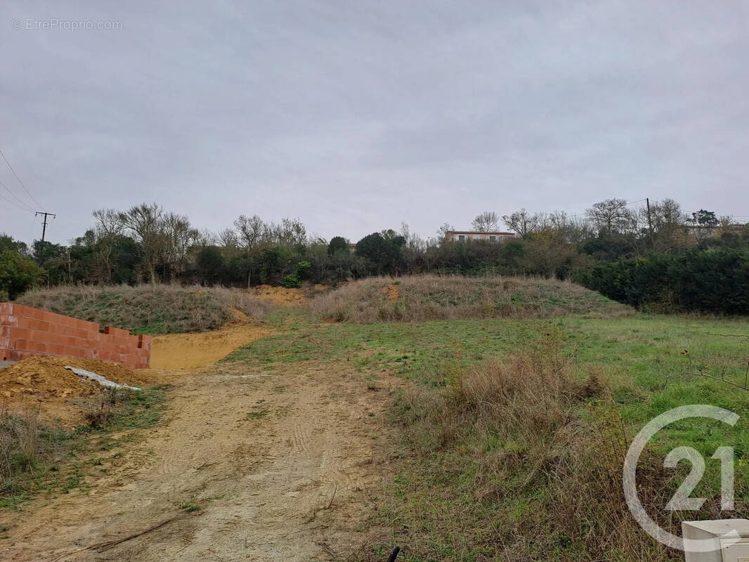 Terrain à SALLES-SUR-L'HERS