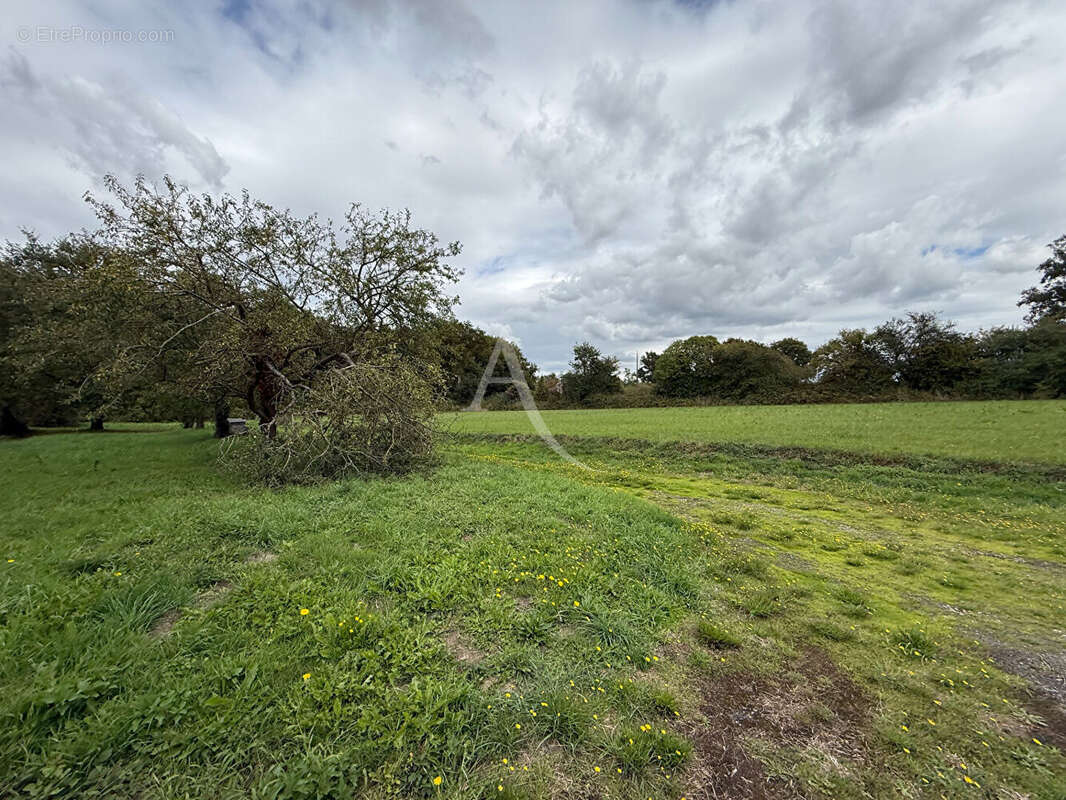 Terrain à MARIGNE-PEUTON
