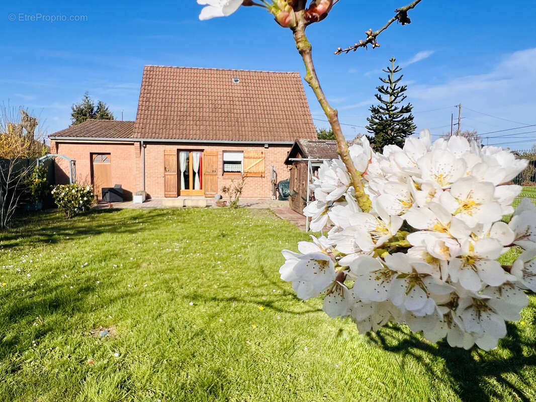 Maison à LEFOREST