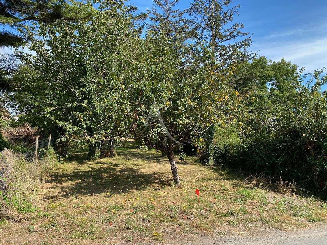 Terrain à LONGEVILLE-SUR-MER