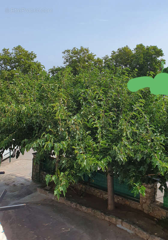 Appartement à L&#039;ILE-ROUSSE