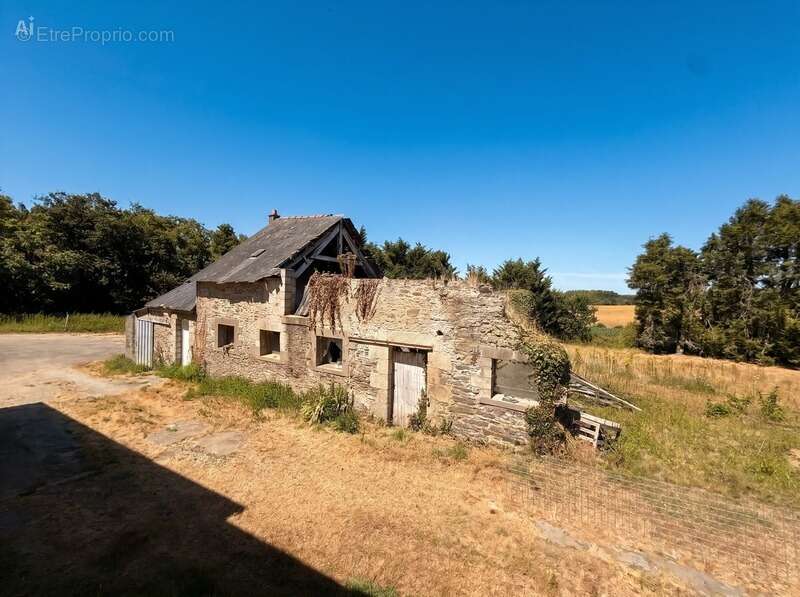 Longère en pierre – 150,76 m² – 6 pièces – 5 chambres – Terrain 6 345 m² – Dépendances – Hangar – Sous-sol complet - photo 27
