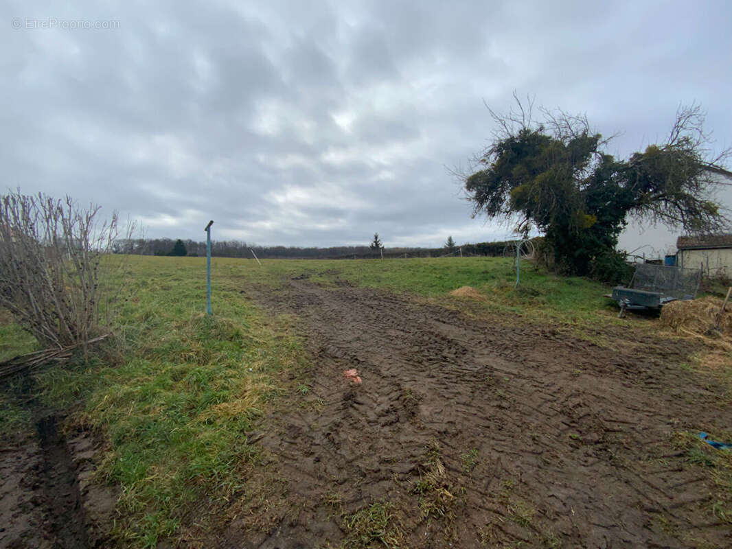 Terrain à SAINT-JULIEN-SUR-DHEUNE