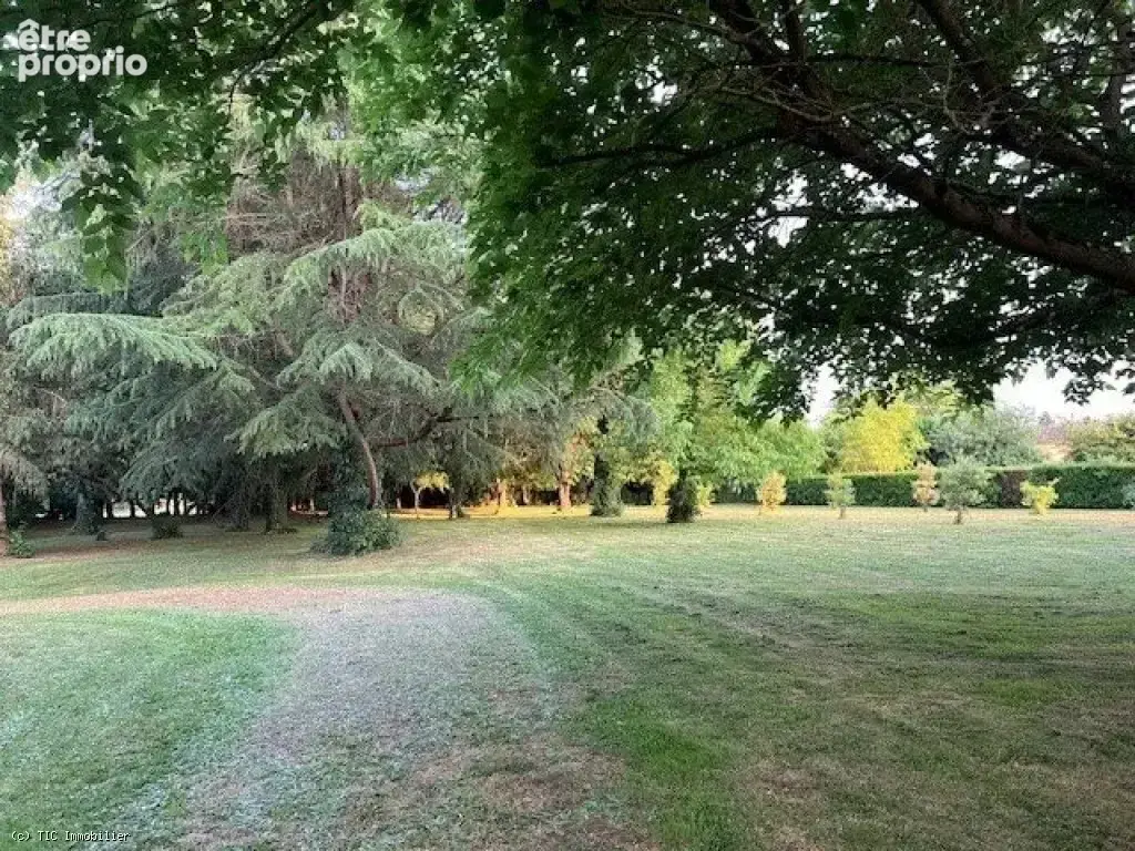 Superbe Presbytère de Caractère avec Magnifiques Jardins, entre Valence-en-Poitou et Vivonne - photo 34