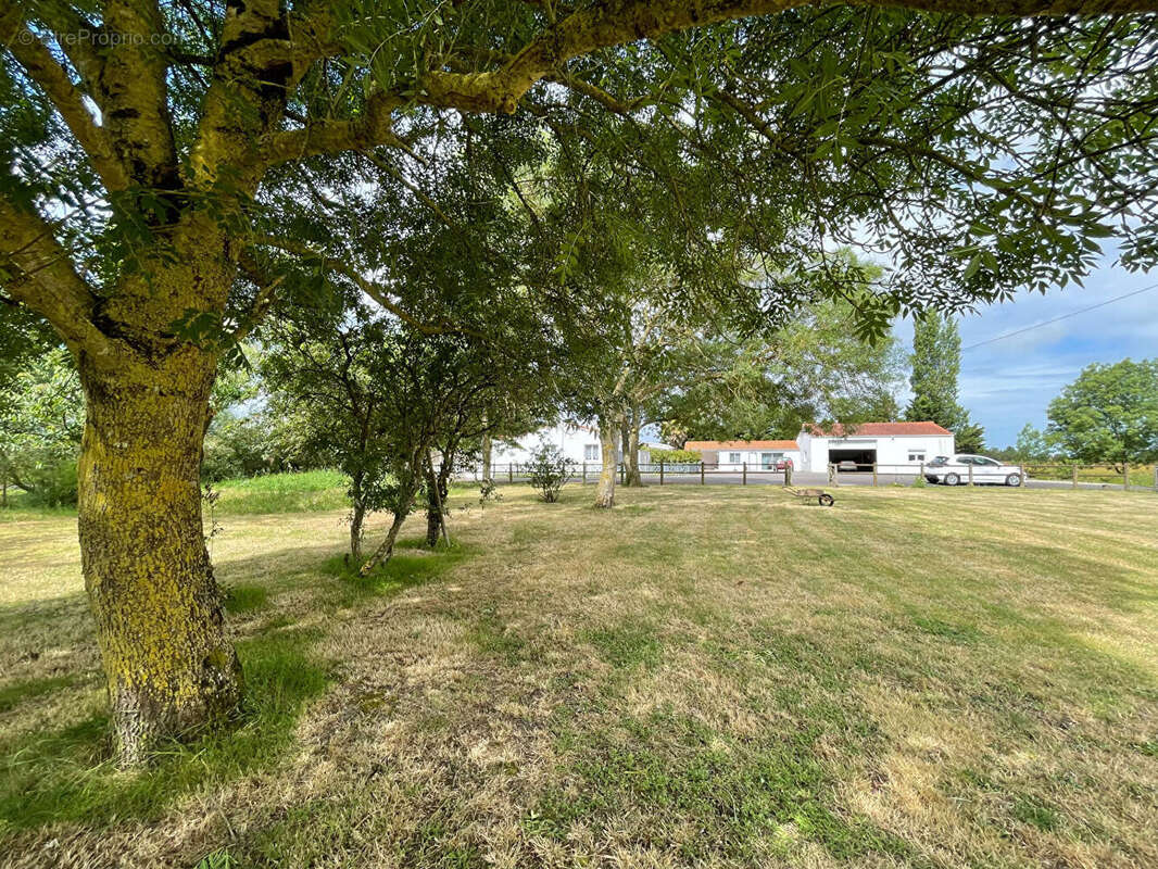 Maison Saint Jean De Monts 130.72m2 - photo 2