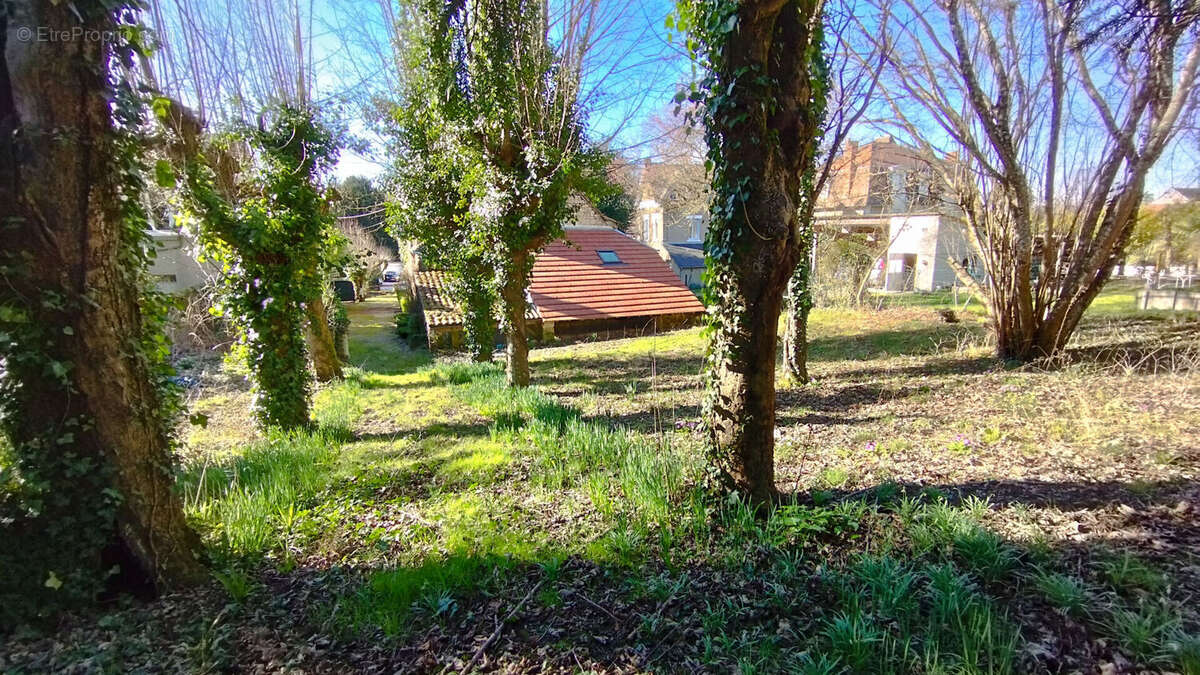 Maison à LA ROCHE-POSAY