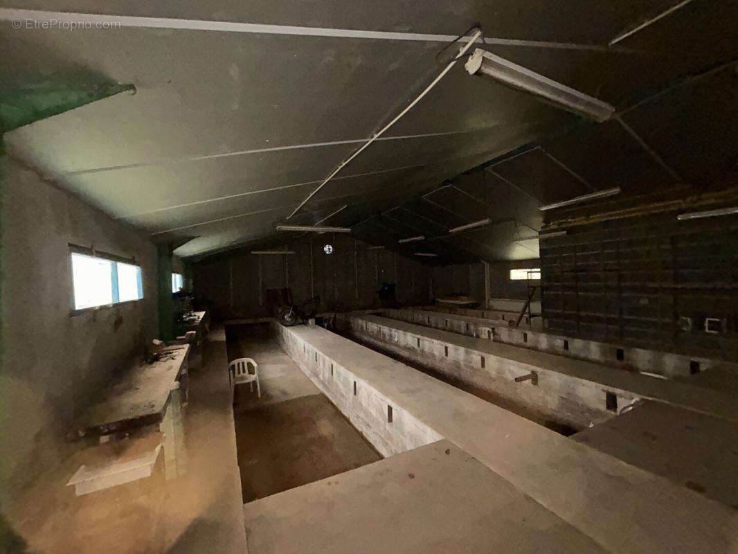 Appartement à SAINTE-MARIE