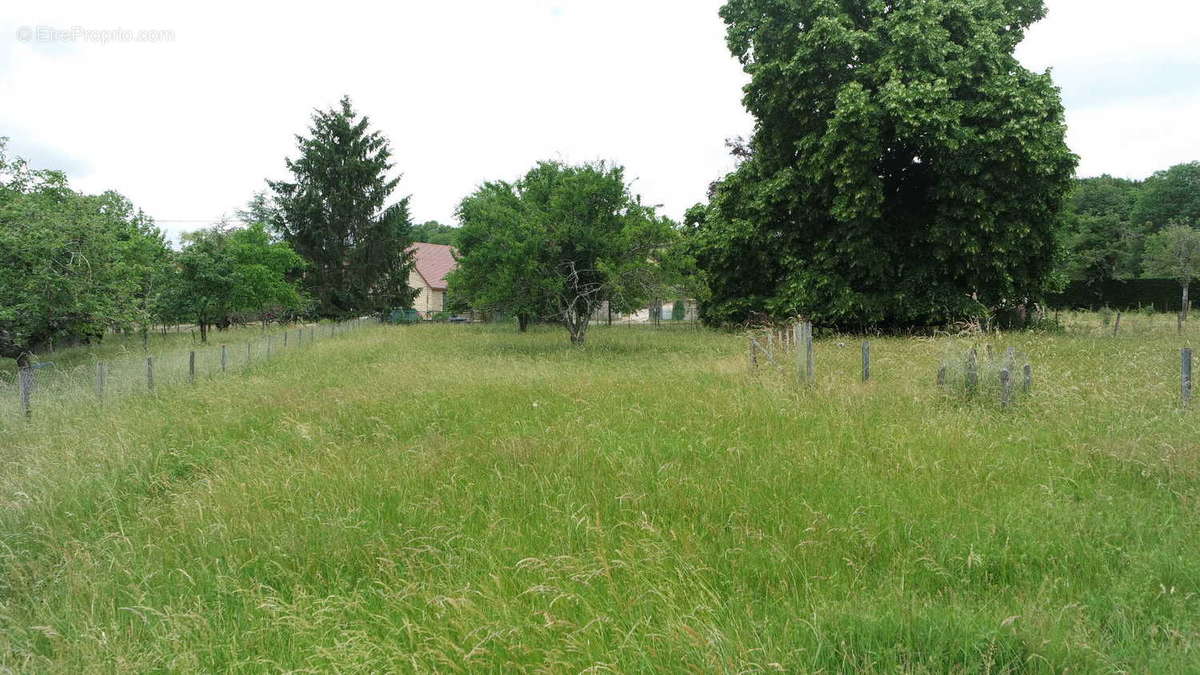 Terrain à bâtir 782 m² - photo 3