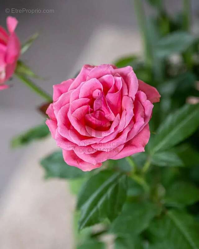 Maison à BOURRON-MARLOTTE