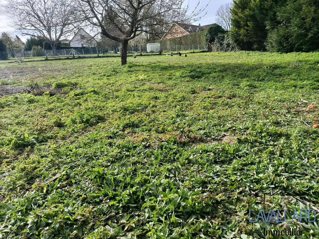 Terrain à FLIXECOURT