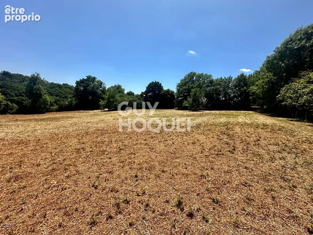 Terrain 3 795 m² à vendre à Mervent (85200) - photo 2