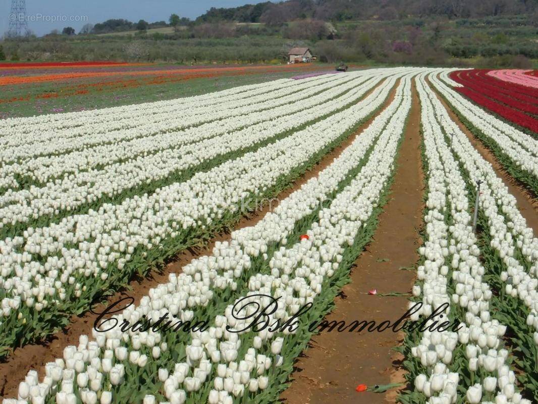 Terrain à LA BRILLANNE