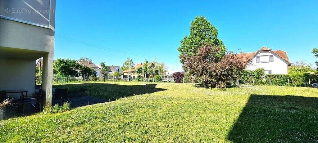 Appartement à RIXHEIM