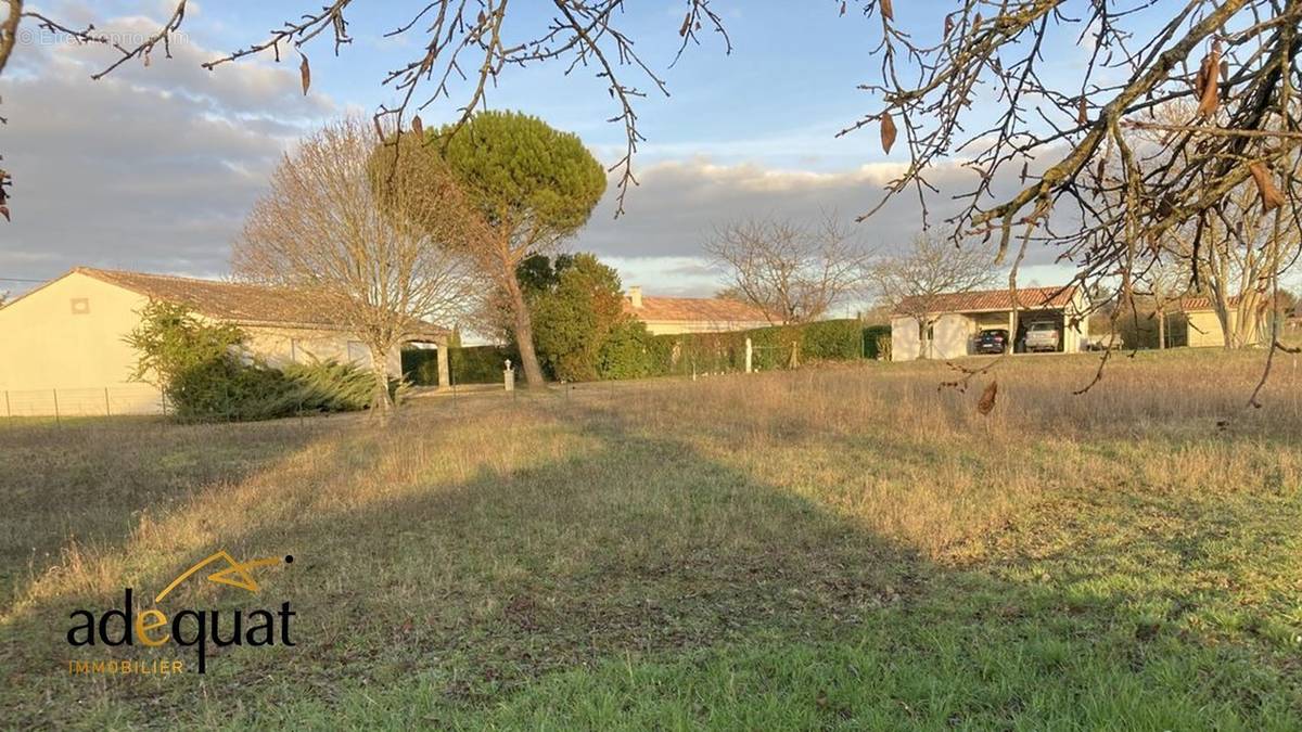 Terrain à CHAMPNIERS