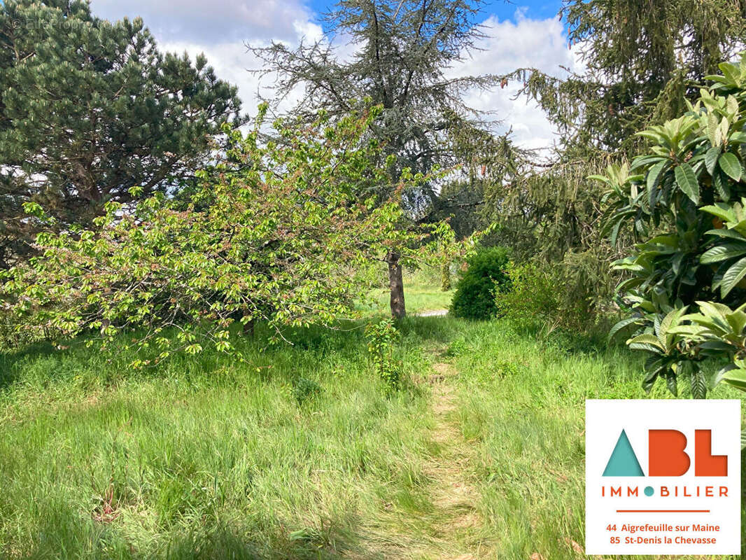 Terrain à AIGREFEUILLE-SUR-MAINE