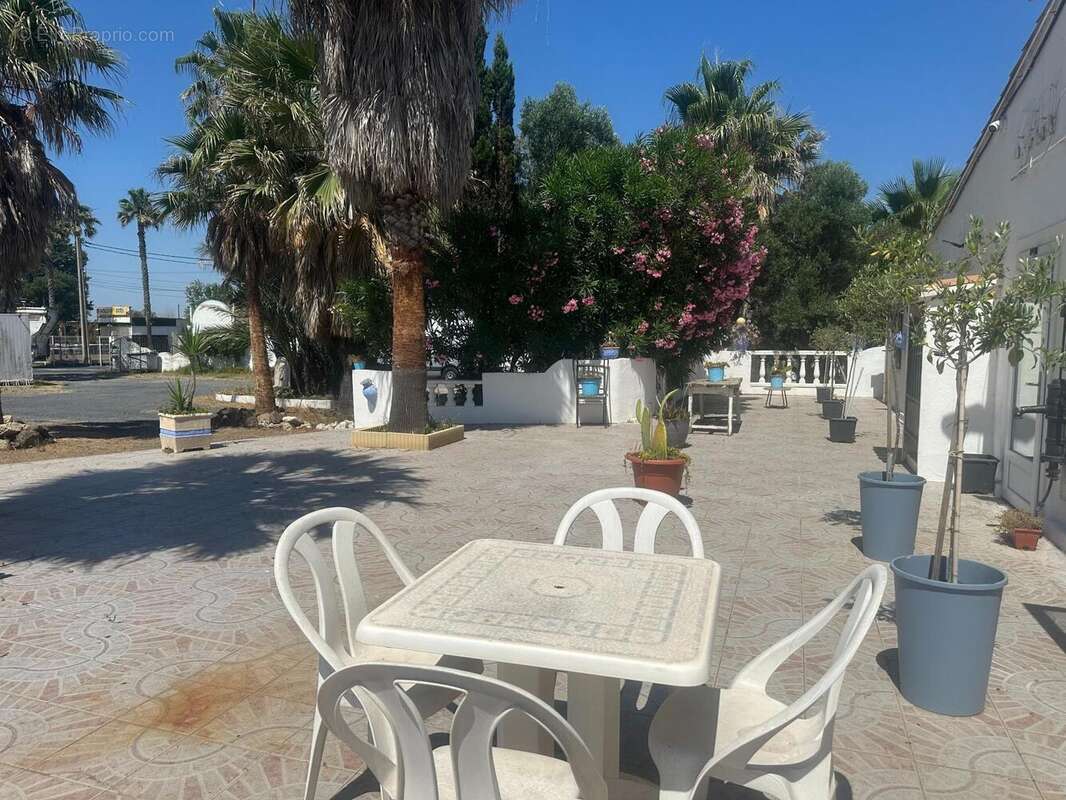 Photo 2 - Appartement à MARSEILLAN