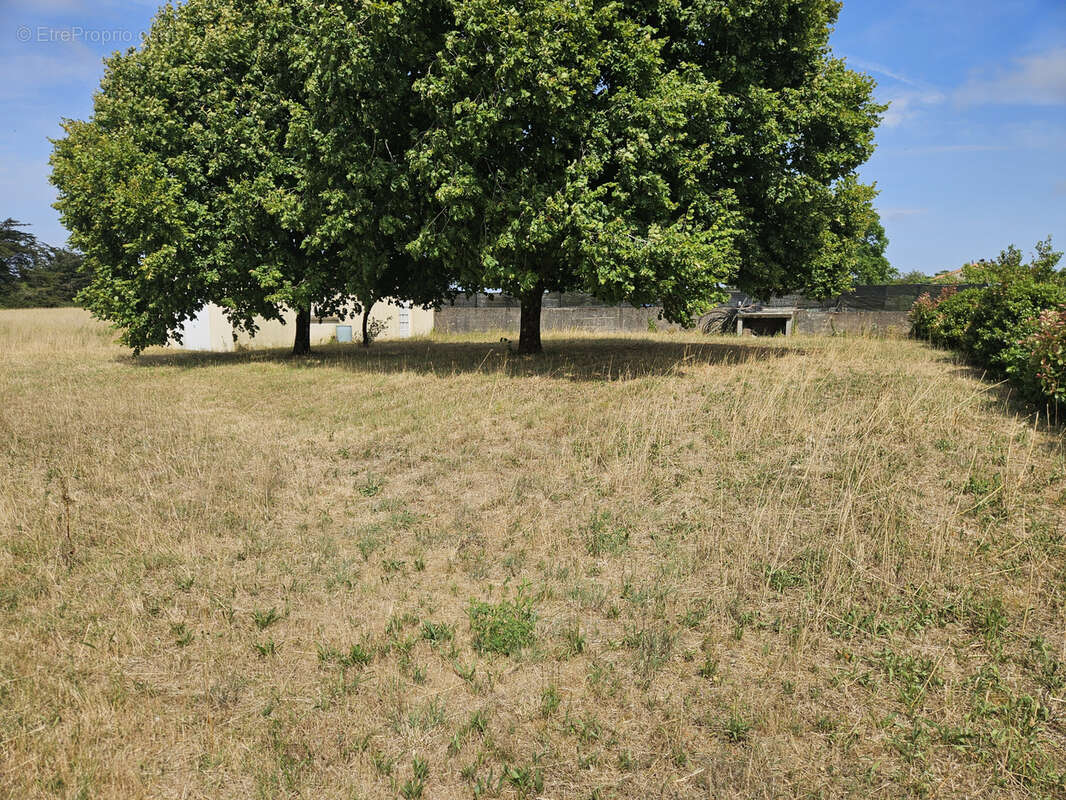 Terrain à MACHECOUL