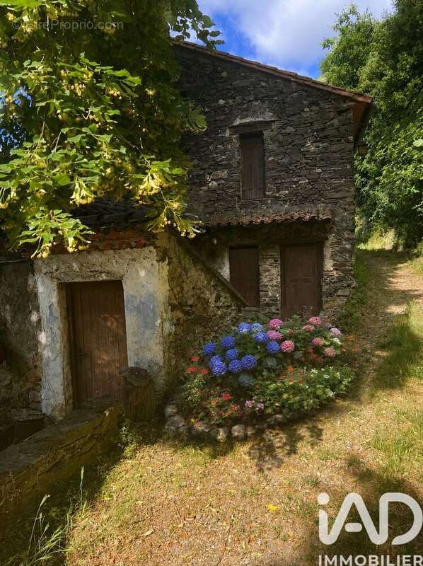 Photo 2 - Maison à SUMENE