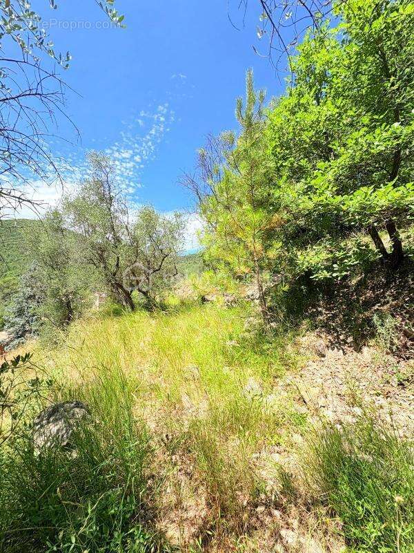  Terrain constructible – Pierrefeu (06910)  - photo 12