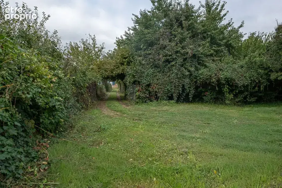 Propriété de caractère et rénovation d'exception à Limas - photo 18