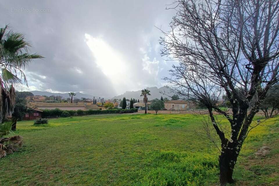 Terrain à ROQUEBRUNE-SUR-ARGENS