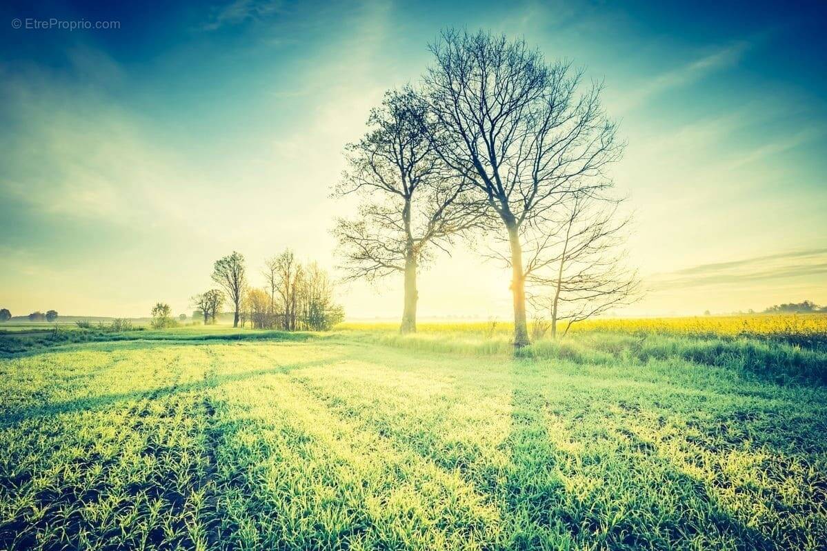 Terrain à SAINTE-CECILE