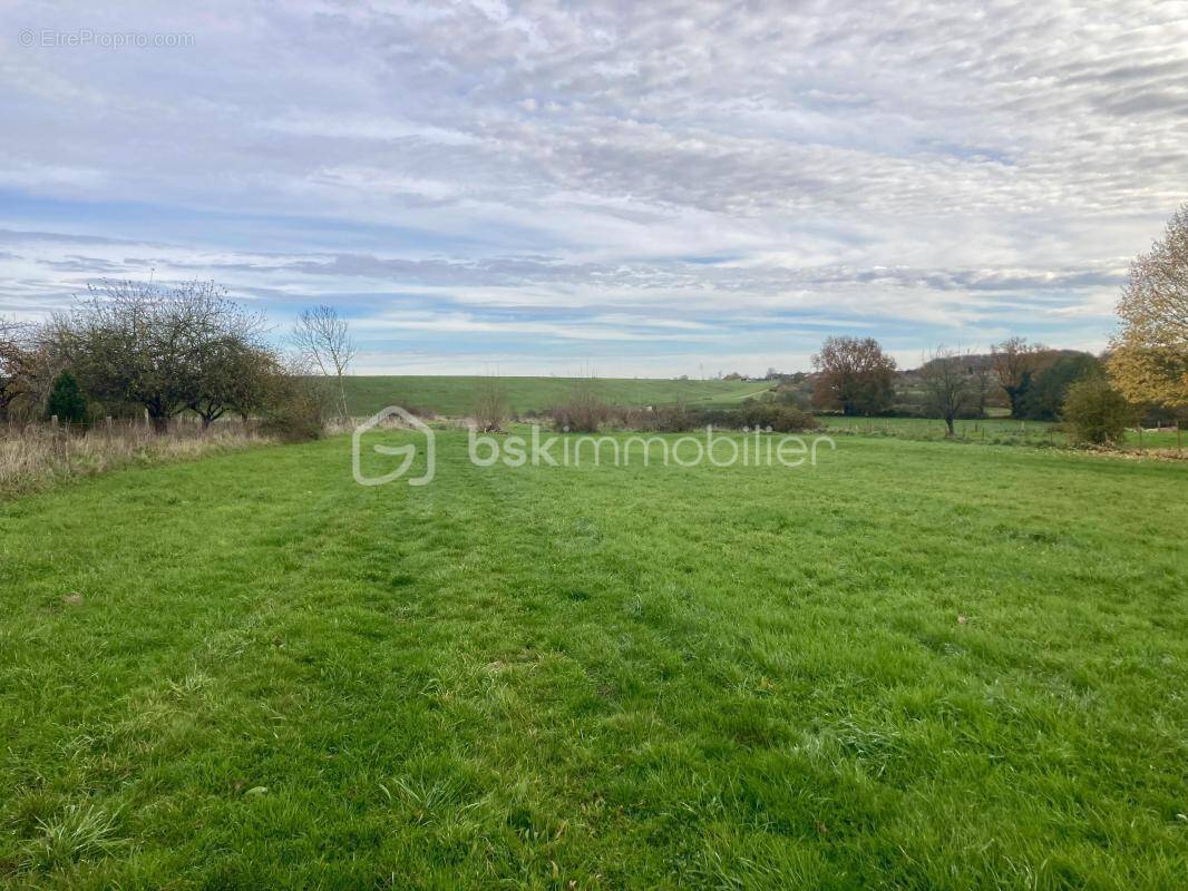 Terrain à GIFFAUMONT-CHAMPAUBERT